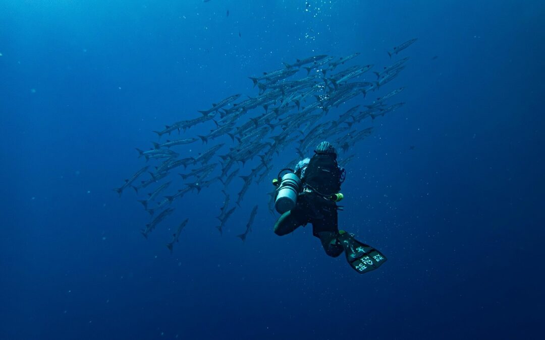 SEO para empresas de buceo
