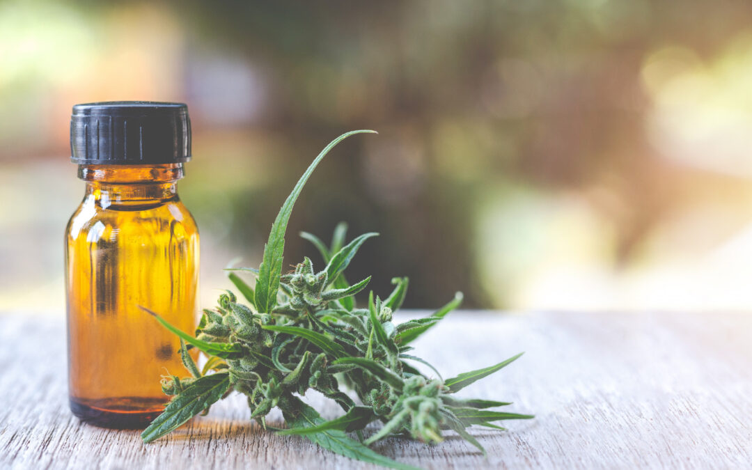 SEO para Growshop y CBD
